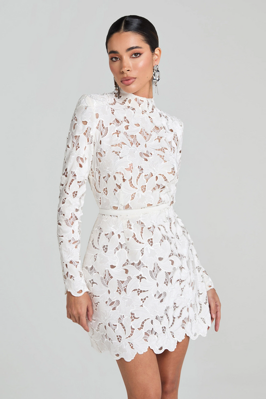 Velvet Embroidered Lace Mini Dress